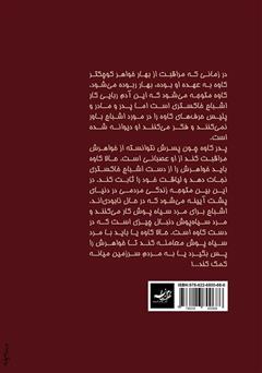 پشت جلد کتاب کتاب دنیای پشت آیینه