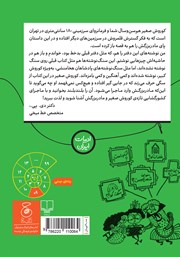 پشت جلد کتاب کتاب سنگ نوشتههای کوروش صغیر 2: روزی که مادربزرگم فرمانروای شهر گمشده شد! پشت جلد کتاب کتاب سنگ نوشتههای کوروش صغیر 2: روزی که مادربزرگم فرمانروای شهر گمشده شد!