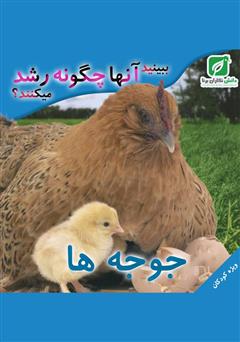معرفی و دانلود کتاب ببینید جوجه‌ها چگونه رشد می‌کنند؟