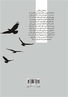 پشت جلد کتاب کتاب به رنگ خاکستری، سیاه و سپید