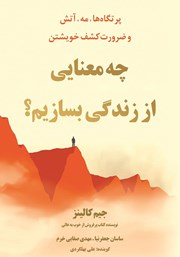 معرفی و دانلود خلاصه کتاب صوتی چه معنایی از زندگی بسازیم؟