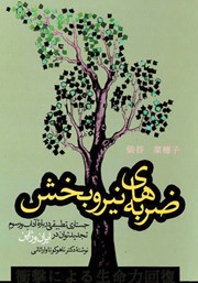 معرفی و دانلود کتاب ضربههای نیروبخش