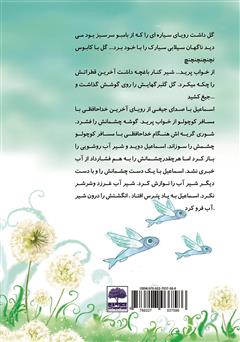 پشت جلد کتاب کتاب سرزمین بیدمهای رادین پشت جلد کتاب کتاب سرزمین بیدمهای رادین