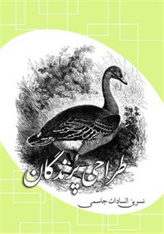 معرفی و دانلود کتاب طراحی پرندگان