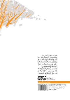 پشت جلد کتاب کتاب سفر دور دنیا: مجموعه داستانهای کوتاه پشت جلد کتاب کتاب سفر دور دنیا: مجموعه داستانهای کوتاه