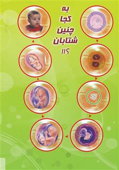 پشت جلد کتاب کتاب خاطرات یک جنین: رویکردی نو در جنین شناسی در قالب خاطره