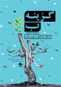 معرفی و دانلود کتاب صوتی گزینه ب؛ مواجهه با سختی، ارتقای حد تحمل و یافتن شادی