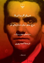 معرفی و دانلود کتاب مرغ عشق میان دندان‌های تو