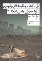 کتاب کی، کجا و چگونه آقای ایزدی دیوار صوتی را می‌شکند؟