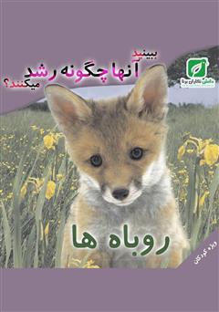 معرفی و دانلود کتاب ببینید روباه‌ها چگونه رشد می‌کنند؟