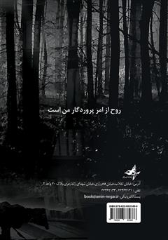 پشت جلد کتاب کتاب دیدار در کتابخانه خاموش پشت جلد کتاب کتاب دیدار در کتابخانه خاموش