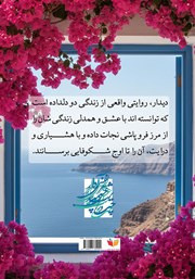 پشت جلد کتاب کتاب دیدار