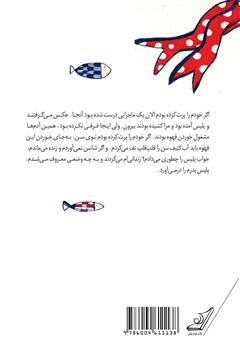 پشت جلد کتاب کتاب پاریس، من و آن ماهی...!