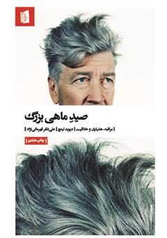 معرفی و دانلود کتاب صید ماهی بزرگ: مراقبه، هوشیاری و خلاقیت