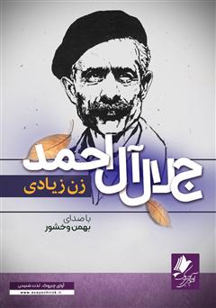 معرفی و دانلود کتاب صوتی زن زیادی