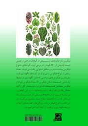 پشت جلد کتاب کتاب آموزش نگهداری از انواع گیاه فیکوس