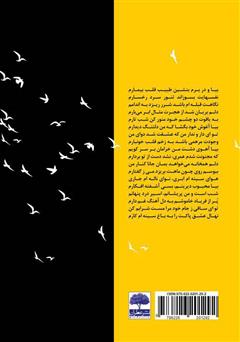 پشت جلد کتاب کتاب مسافر صبا پشت جلد کتاب کتاب مسافر صبا