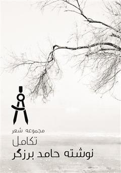 معرفی و دانلود کتاب مجموعه شعر تکامل