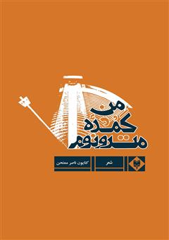 معرفی و دانلود کتاب مترونوم گمشده من