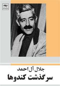 معرفی و دانلود کتاب سرگذشت کندوها