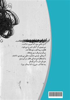 پشت جلد کتاب کتاب کاریکلماتور سیبیل نوشت‌ها