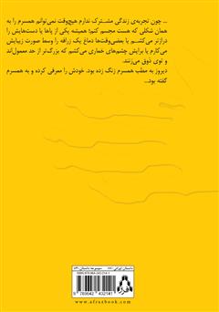 پشت جلد کتاب کتاب سکوت پرهیاهوی مردهها پشت جلد کتاب کتاب سکوت پرهیاهوی مردهها
