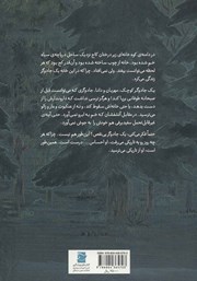 پشت جلد کتاب کتاب جادوگر ترسو پشت جلد کتاب کتاب جادوگر ترسو