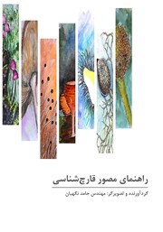 معرفی و دانلود کتاب راهنمای مصور قارچ شناسی