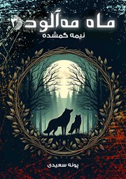 کتاب نیمه گمشده