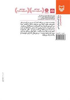 پشت جلد کتاب رمان شاه بی شین پشت جلد کتاب رمان شاه بی شین