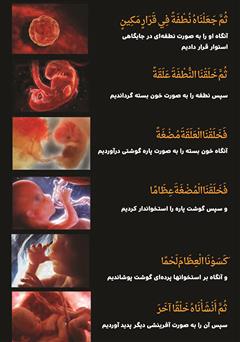 پشت جلد کتاب کتاب در جستجوی خدا: اثبات وجود خدا از طریق معجزات علمی قرآن پشت جلد کتاب کتاب در جستجوی خدا: اثبات وجود خدا از طریق معجزات علمی قرآن