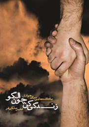 معرفی و دانلود کتاب زندگی کن چون الگو