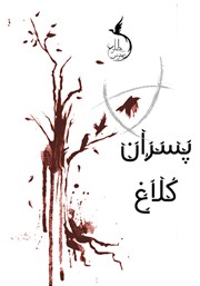 معرفی و دانلود کتاب پسران کلاغ: کتاب اول