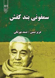 معرفی و دانلود کتاب صوتی سمفونی بند کفش