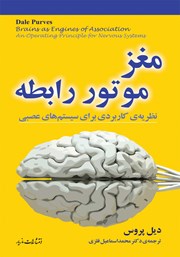 معرفی و دانلود کتاب مغز، موتور رابطه
