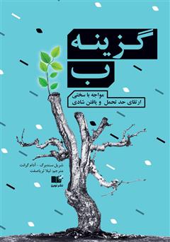 معرفی و دانلود کتاب گزینه ب؛ مواجهه با سختی، ارتقای حد تحمل و یافتن شادی