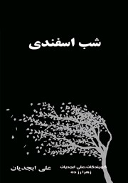 معرفی و دانلود کتاب صوتی شب اسفندی