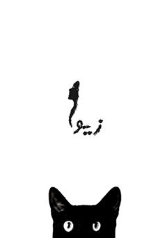 معرفی و دانلود کتاب زیوا