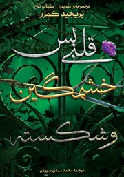 معرفی و دانلود کتاب قلبی بس خشمگین و شکسته