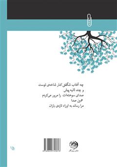 پشت جلد کتاب کتاب چه آفتاب شگفتی کنار شاخهی توست! پشت جلد کتاب کتاب چه آفتاب شگفتی کنار شاخهی توست!