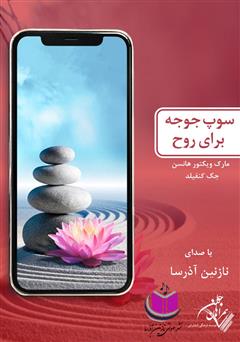 معرفی و دانلود کتاب صوتی سوپ جوجه برای روح