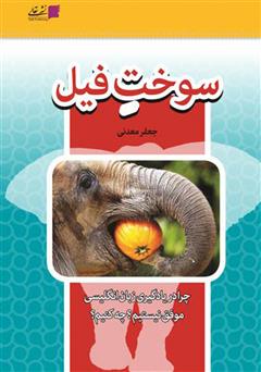 معرفی و دانلود کتاب سوخت فیل