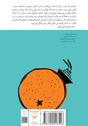 پشت جلد کتاب نامزد آقای مترجم پشت جلد کتاب نامزد آقای مترجم