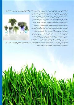پشت جلد کتاب کتاب زراعت خصوصی گیاهان دارویی