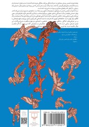 پشت جلد کتاب شکستن هسته زردآلو پشت جلد کتاب شکستن هسته زردآلو