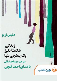 معرفی و دانلود کتاب صوتی زندگی شگفت انگیز یک پستچی تنها