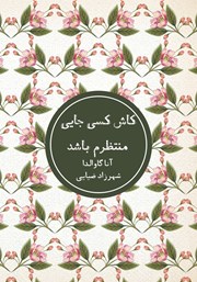 معرفی و دانلود کتاب کاش کسی جایی منتظرم باشد