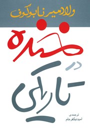 معرفی و دانلود کتاب خنده در تاریکی