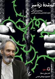 معرفی و دانلود کتاب صوتی گمشده دره سبز