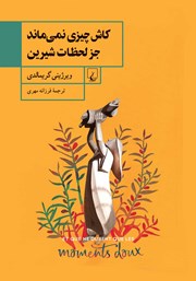 معرفی و دانلود کتاب کاش چیزی نمی‌ماند جز لحظات شیرین